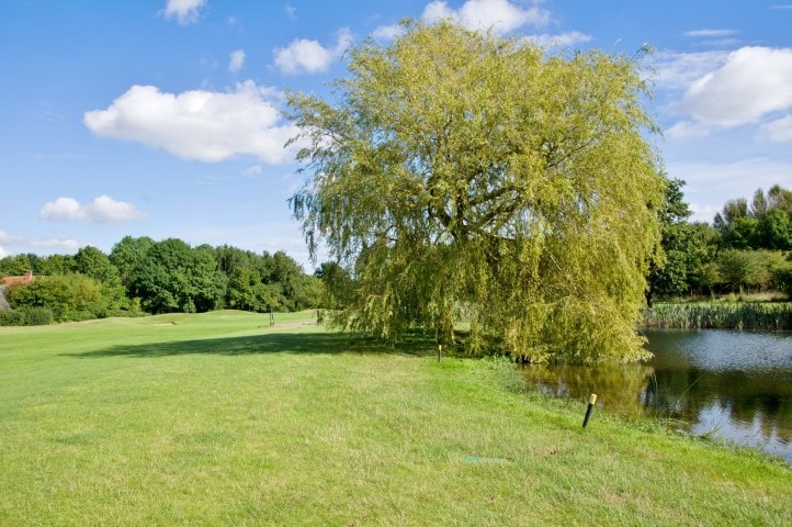 Course Hole 5, Brett Vale Golf course Suffolk
